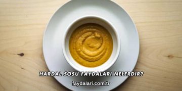 Hardal Sosu Faydaları Nelerdir?