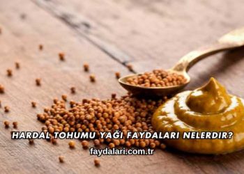Hardal Tohumu Yağı Faydaları Nelerdir?