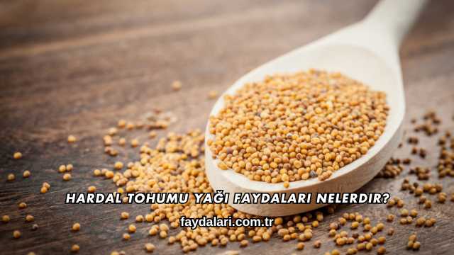 Hardal Tohumu Yağı Faydaları Nelerdir?