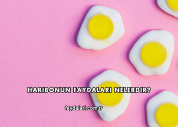 Haribonun Faydaları Nelerdir?