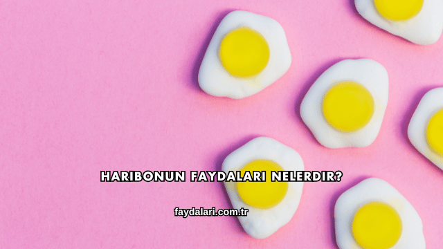 Haribonun Faydaları Nelerdir?