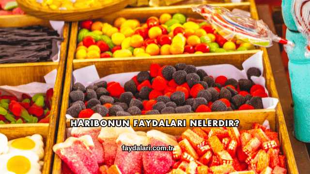 Haribonun Faydaları Nelerdir?