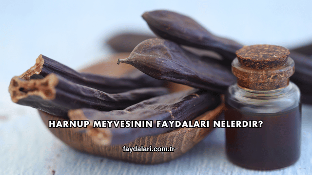 Harnup Meyvesinin Faydaları Nelerdir?