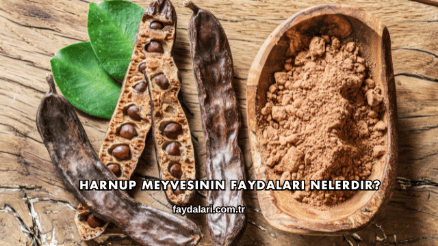 Harnup Meyvesinin Faydaları Nelerdir?