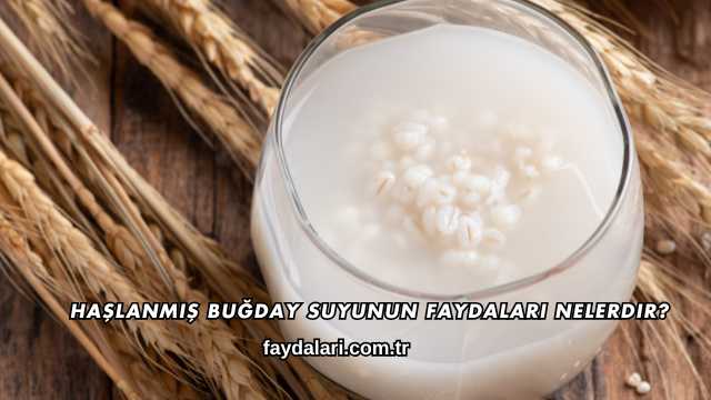 Haşlanmış Buğday Suyunun Faydaları Nelerdir?