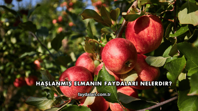 Haşlanmış Elmanın Faydaları Nelerdir?