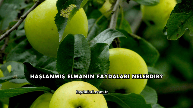 Haşlanmış Elmanın Faydaları Nelerdir?