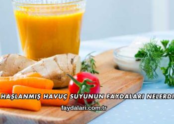 Haşlanmış Havuç Suyunun Faydaları Nelerdir?