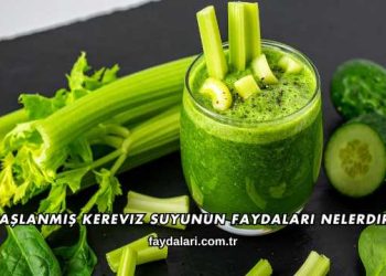 Haşlanmış Kereviz Suyunun Faydaları Nelerdir?