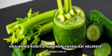 Haşlanmış Kereviz Suyunun Faydaları Nelerdir?
