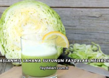 Haşlanmış Lahana Suyunun Faydaları Nelerdir?