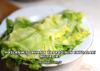 Haşlanmış Lahana Yaprağının Faydaları Nelerdir?