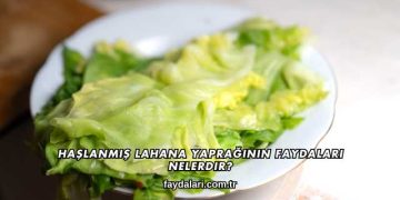 Haşlanmış Lahana Yaprağının Faydaları Nelerdir?