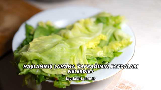 Haşlanmış Lahana Yaprağının Faydaları Nelerdir?