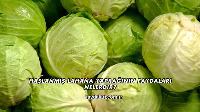 Haşlanmış Lahana Yaprağının Faydaları Nelerdir?