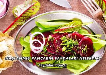 Haşlanmış Pancarın Faydaları Nelerdir?