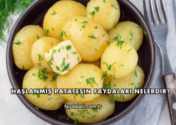 Haşlanmış Patatesin Faydaları Nelerdir?