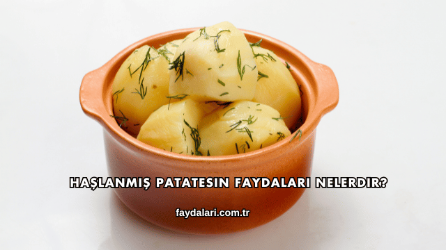 Haşlanmış Patatesin Faydaları Nelerdir?