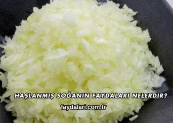 Haşlanmış Soğanın Faydaları Nelerdir?