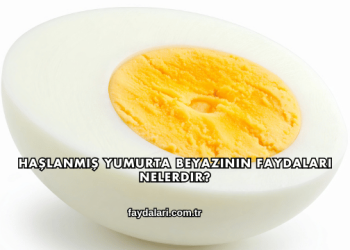 Haşlanmış Yumurta Beyazının Faydaları Nelerdir?