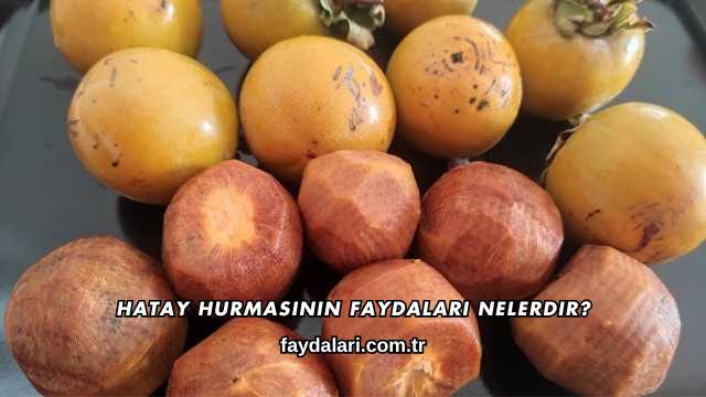 Hatay Hurmasının Faydaları Nelerdir?