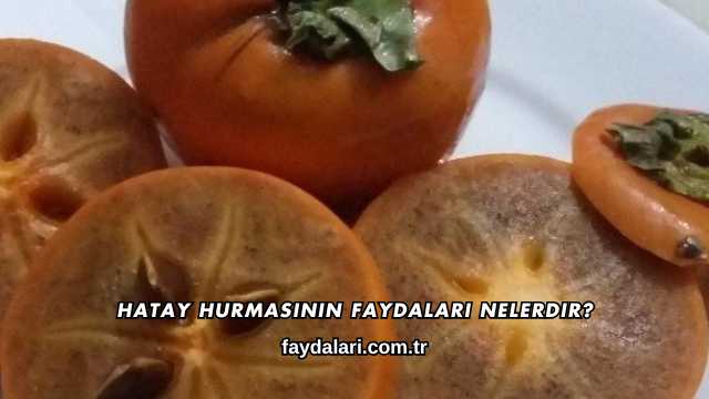 Hatay Hurmasının Faydaları Nelerdir?