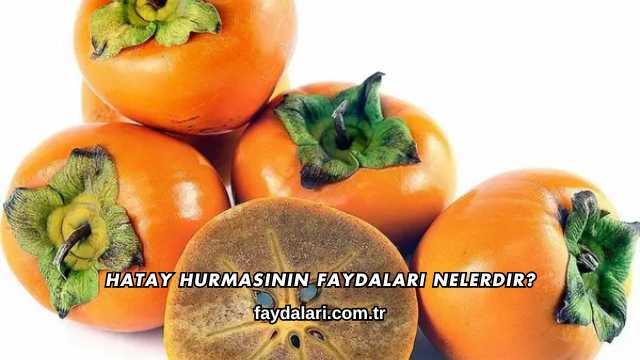 Hatay Hurmasının Faydaları Nelerdir?