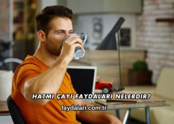 Hatmi Çayı Faydaları Nelerdir?