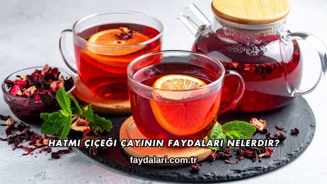 Hatmi Çiçeği Çayının Faydaları Nelerdir?