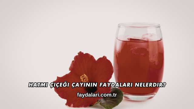 Hatmi Çiçeği Çayının Faydaları Nelerdir?