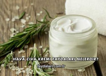 Hava Civa Kremi Faydaları Nelerdir?