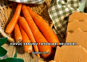 Havuç Sabunu Faydaları Nelerdir?