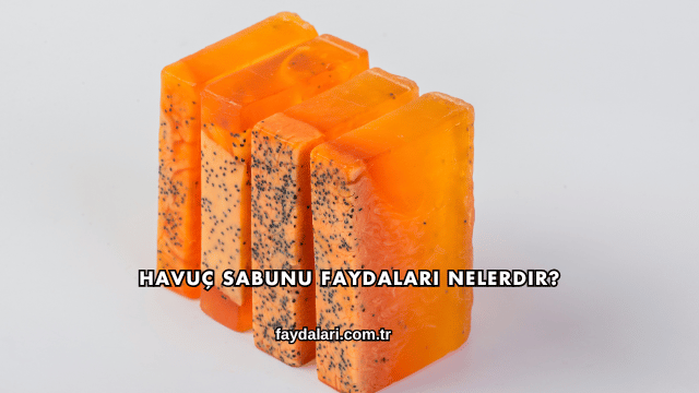 Havuç Sabunu Faydaları Nelerdir?