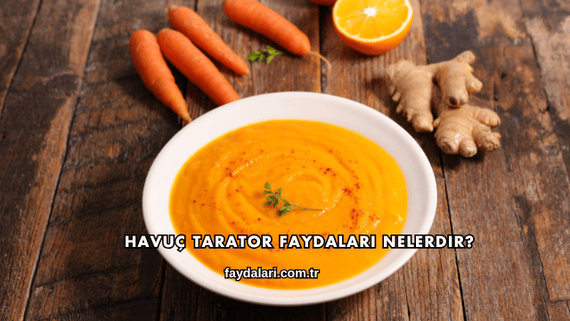 Havuç Tarator Faydaları Nelerdir?