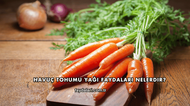 Havuç Tohumu Yağı Faydaları Nelerdir?
