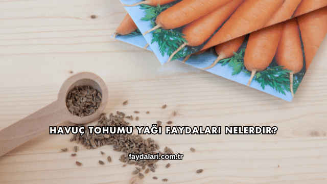 Havuç Tohumu Yağı Faydaları Nelerdir?