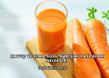 Havuç ve Elma Suyu Karışımı Faydaları Nelerdir?