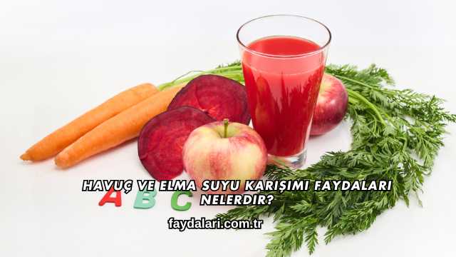Havuç ve Elma Suyu Karışımı Faydaları Nelerdir?