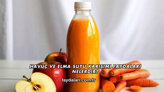 Havuç ve Elma Suyu Karışımı Faydaları Nelerdir?