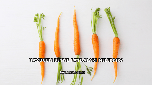 Havucun Beyne Faydaları Nelerdir?