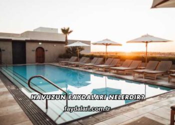 Havuzun Faydaları Nelerdir?