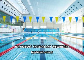 Havuz Faydaları Nelerdir?