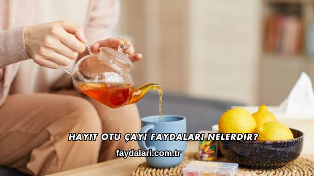 Hayıt Otu Çayı Faydaları Nelerdir?
