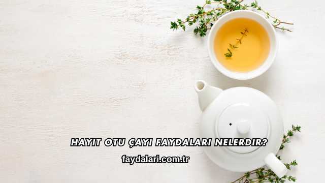 Hayıt Otu Çayı Faydaları Nelerdir?