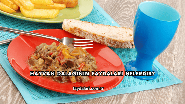 Hayvan Dalağının Faydaları Nelerdir?