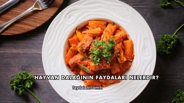 Hayvan Dalağının Faydaları Nelerdir?