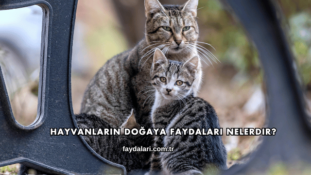 Hayvanların Doğaya Faydaları Nelerdir?