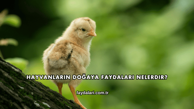 Hayvanların Doğaya Faydaları Nelerdir?