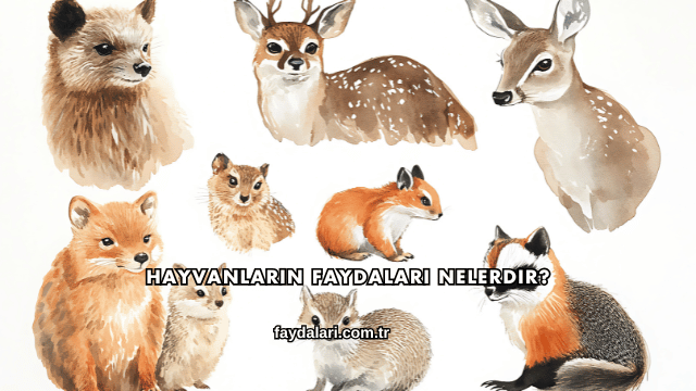 Hayvanların Faydaları Nelerdir?