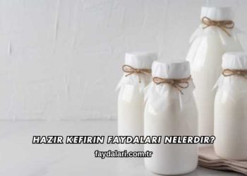 Hazır Kefirin Faydaları Nelerdir?